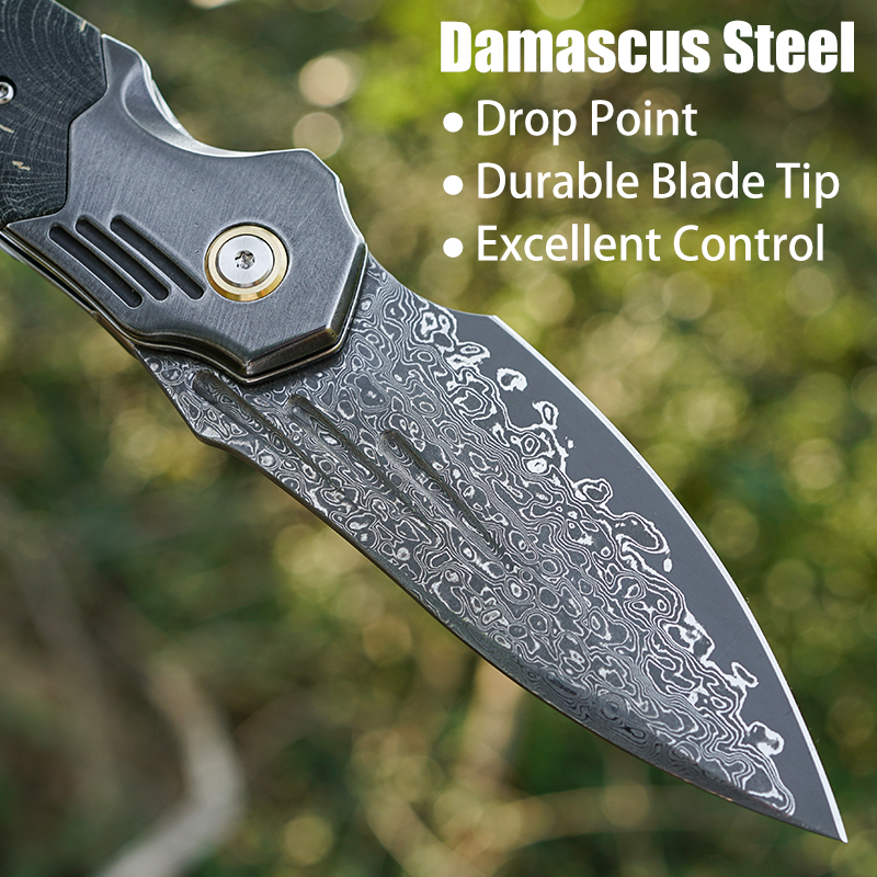 VNLA Handmade Damascus Steel P - مراجعة Edc Carry Knife وسعره