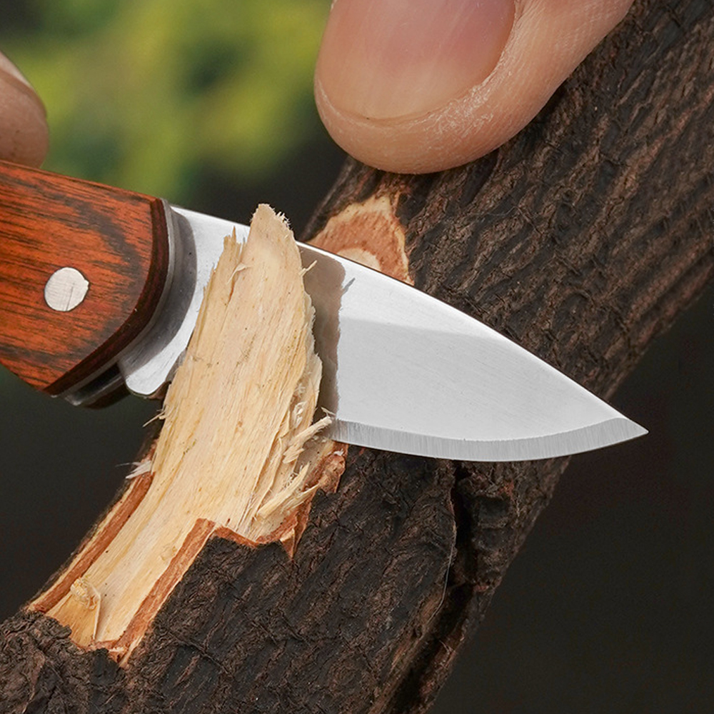 Small Keychain Pocket Knife Ev - مراجعة Edc (Every Day Carry وسعره